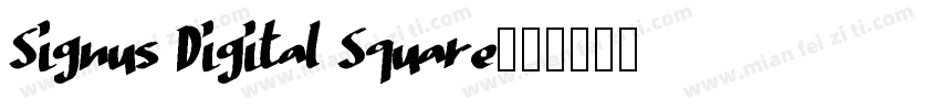 Signus Digital Square字体转换